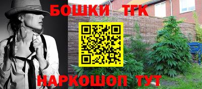 бошки Сланцы