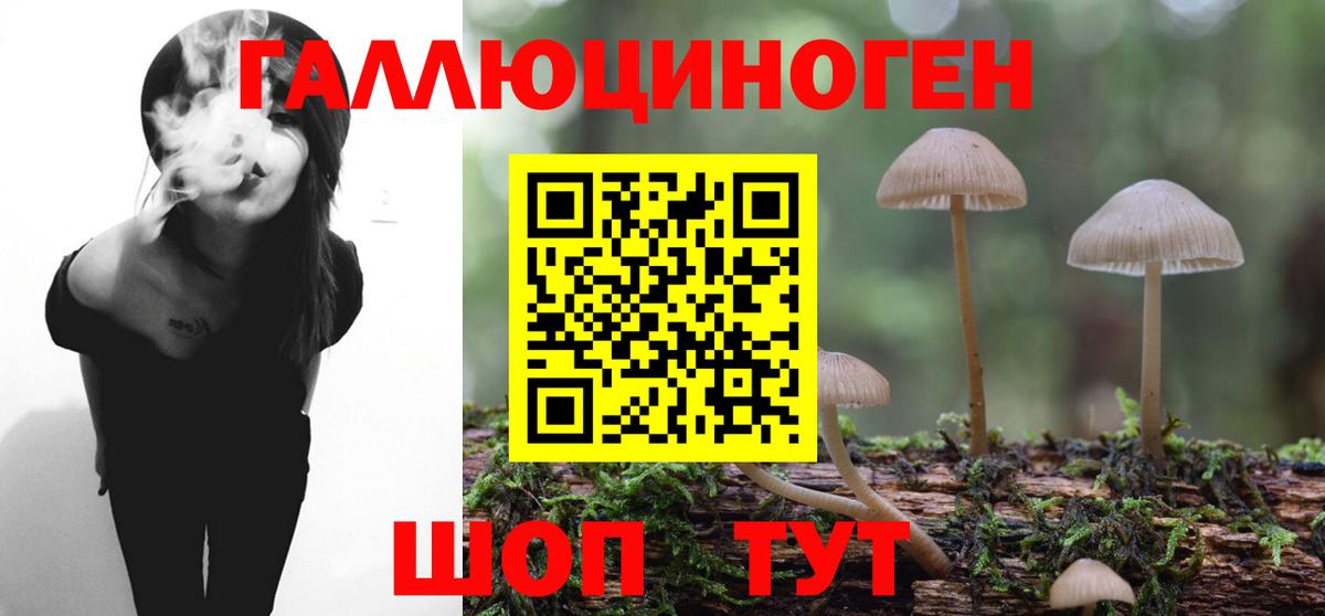 Псилоцибиновые грибы MAGIC MUSHROOMS  Вход с VPN  Орск 